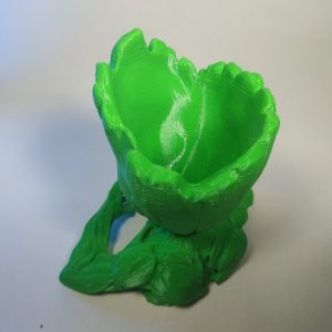 Macetero cactus Groot Corazón