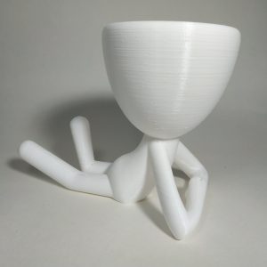 Macetero para cactus tumbado