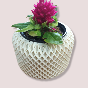 Macetero hexagonal grande