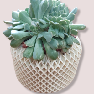 Macetero hexagonal mediano