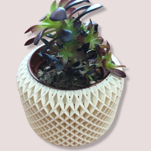 Macetero hexagonal pequeño