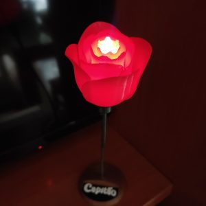 Rosa personalizada Con led